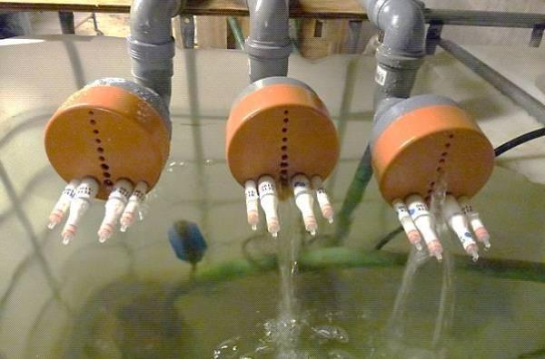 Ervaringen met SorbiCells voor drainmetingen De eerste ervaringen met een experimentele meetmethode om nutriëntenvrachten in d rainwater te meten zijn verzameld en in een rapport vastgelegd.