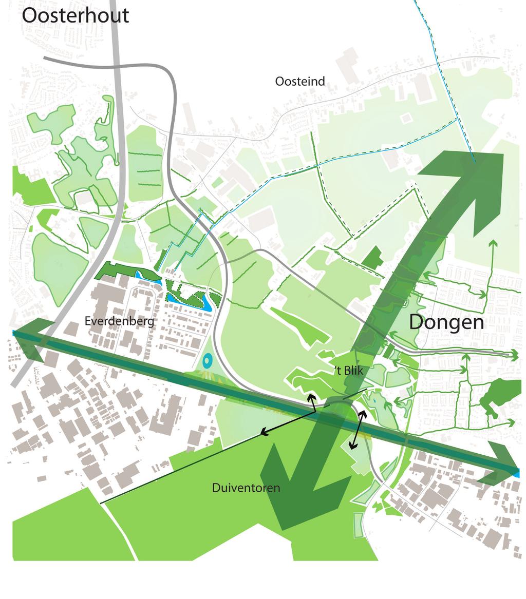 3. Kwaliteitsverbeteringen 3.4 Visie Groen en ecologie 3.5 Visie Recreatie Met de komst van het nieuwe tracé wordt het natuurnetwerk Nederland tussen De Duiventoren en t Blik nogmaals doorsneden.