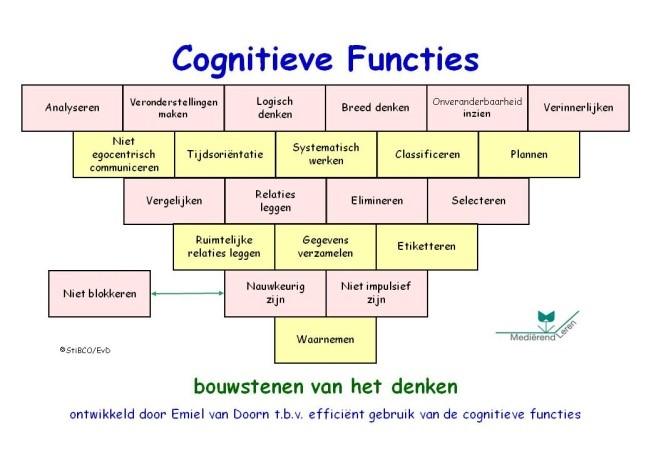 Cognitieve functies en hypothetisch denken Een aantal dominante cognitieve bouwstenen, benodigd bij