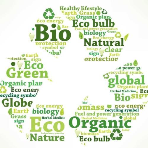 Bio-based building blocks, resource use Efficient use of renewable raw materials Influence on costs Influence on