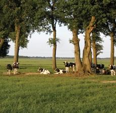 Ook zal de koper duidelijk aan moeten geven wat zijn speciale bedoelingen zijn met de te verkopen onroerende zaak.