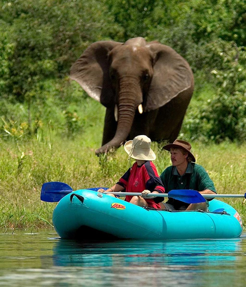Dag 8 31 oktober 2014 Victoria Falls en de kanoafvaart van de Zambeze stroom Ontbijt in het hotel.