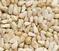 Zoals de meeste vetrijke granen en zaden is ook cardy niet alleen vetrijk maar ook eiwitrijk (14,3%).