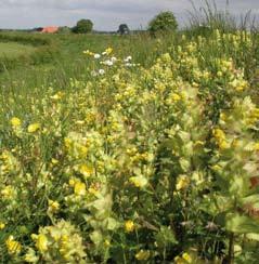 De betrokken gemeenten en het Waterschap dragen samen bovendien ruim 1 miljoen euro bij in de vorm van eigen investeringen in het gebied, zoals het aanleggen van struinpaden en ecologische stroken