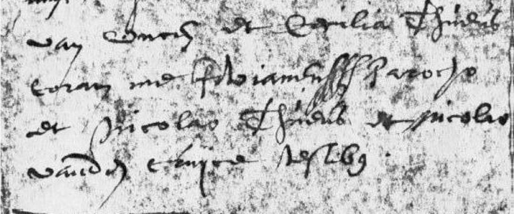 7. Jan Frederik, volgt VI. 8. Judocus Meuzegem 24 april 1622 28. Deze had een onwettig kind bij Anna van der Perre, met name: a. Adriaen Meuzegem 27 janauri 1646 29. 9. Jacobus ca 1624. 10.