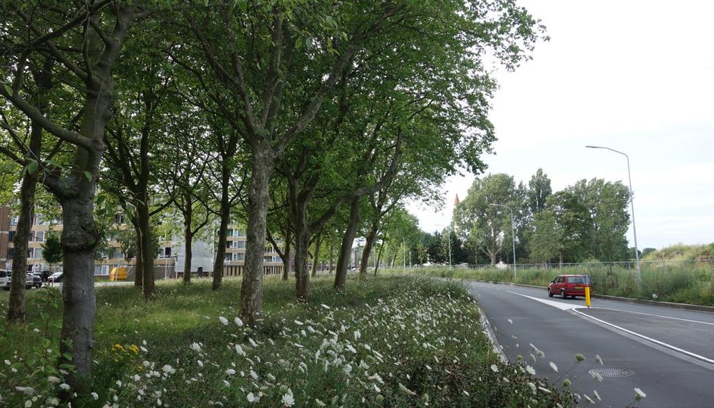 Hoe verbinden we Watering en Poelenburg voor voetgangers en fietsers?