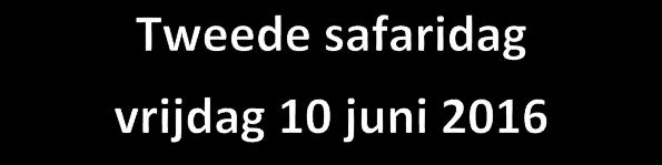 Een moment later glijdt het scheermes over mijn bakkes. Met een lange haal verwijder ik het laatste restant van een beginnende baard.