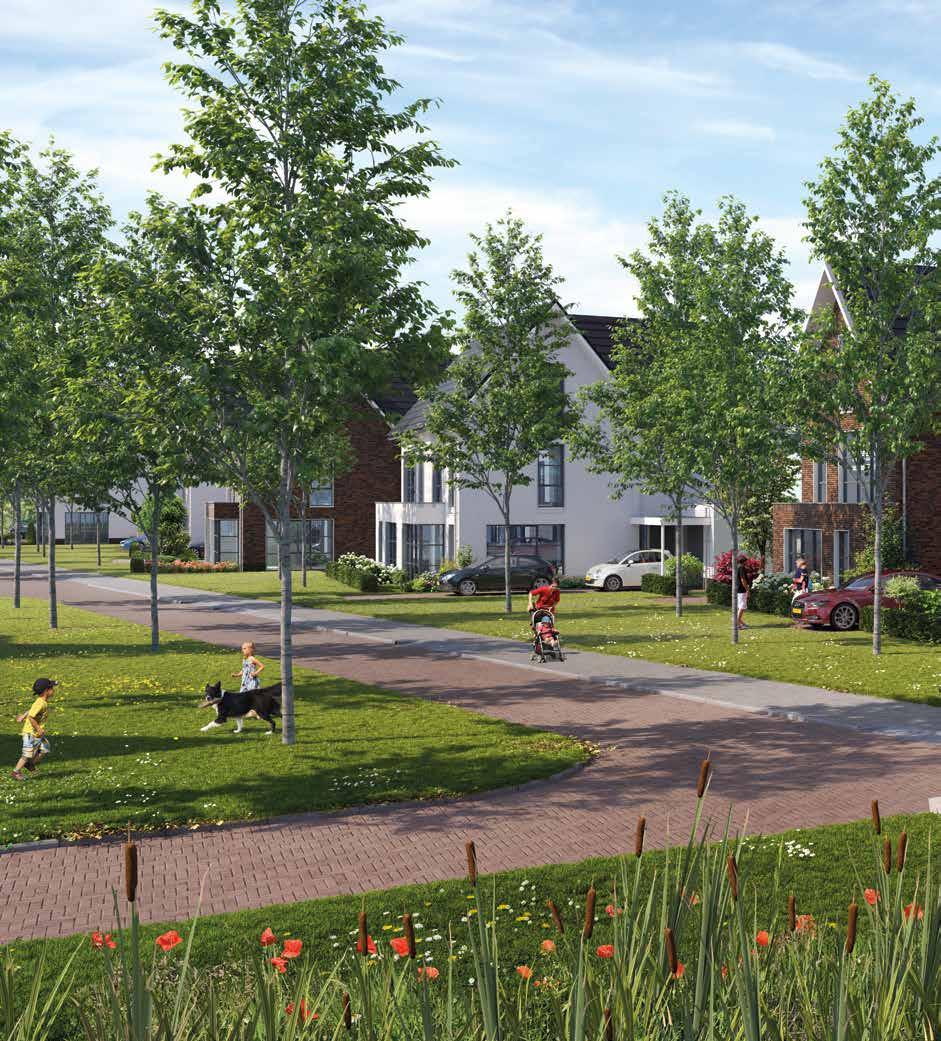 Luxe woningen in een gevarieerd straatbeeld HERVENSCHE Fase 1 van Hervensche Park bestaat uit 11 luxe woningen in 4