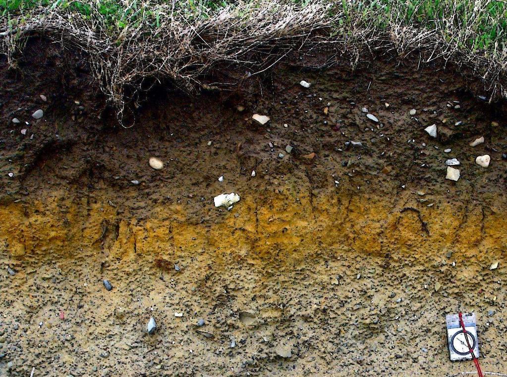 Conclusie 5 Natuurdoeltypen bestrijken een brede range van bodem-ph en organisch-stofgehalte De hogere ph waarden in huidige en voormalige landbouwgebieden hangen vaak samen met