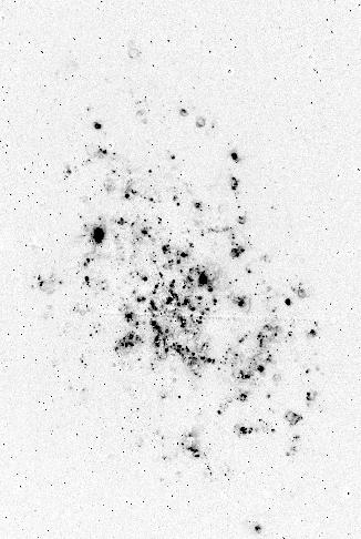 Messier 33 ( NGC 598 ) HI neutraal waterstof