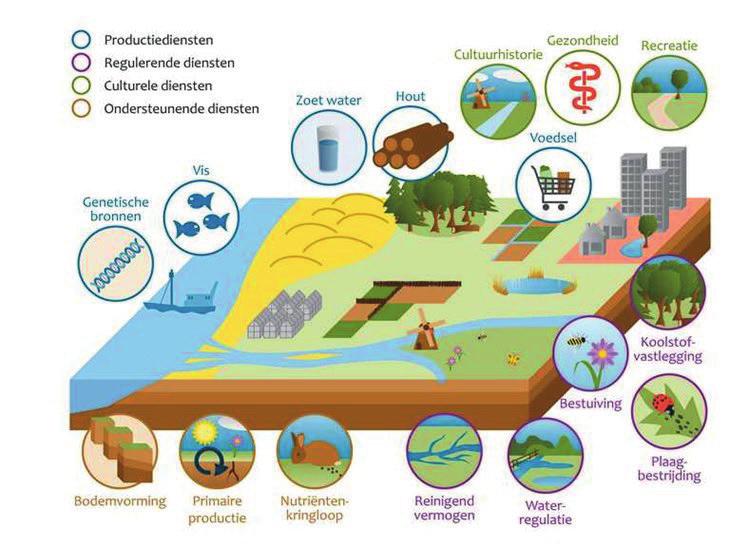 Figuur 1 Indeling van ecosysteemdiensten, geïllustreerd aan de hand van een landschap (Bron: http://www.biodiversiteit.