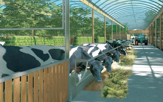 Koeientuin In het project Cowmunity, een initiatief van de stichting Courage en InnovatieNetwerk, is men op zoek gegaan naar innovatieve huisvesting voor melkvee.