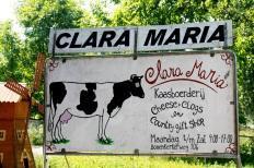 Een bezoek aan kaasboerderij Clara Maria in Amstelveen.