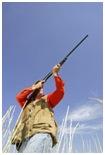 Gevaren veroorzaakt door de mens jagers windmolens verdwijnen leefgebieden Jagers schieten op vogels of vangen ze met netten.