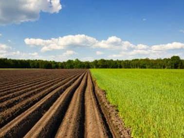 Verhoogde pachtnormen 2015 Onlangs zijn de pachtnormen 2015 vastgesteld, zie tabel 1. De pachtnormen zijn gebaseerd op de bedrijfsresultaten van akkerbouw- en melkveebedrijven in de periode 2009-2013.