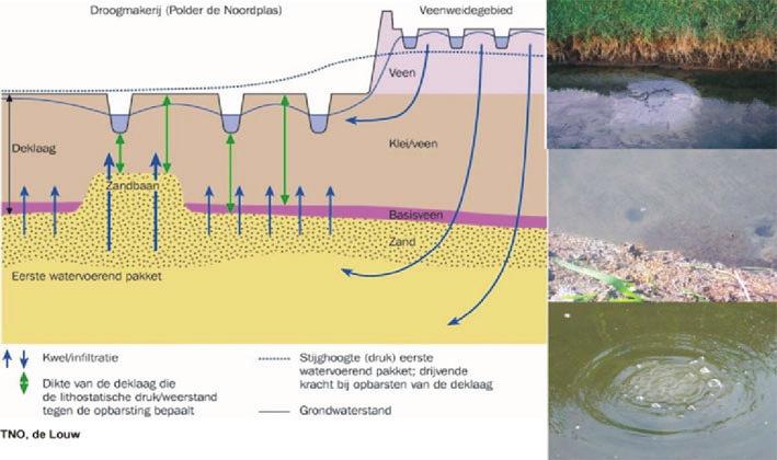 Hoofdstuk 3 Secundaire klimaateffecten mogelijk vaker te maken hebben met wateroverlast. 3.3.2 Watertekort in het landelijk gebied Alle scenario s laten een opwarming zien in 2050.