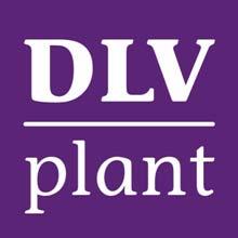 Invloed daglengte en belichting bij eenjarige zomerbloeiers DLV Plant Postbus 7001 6700 CA Wageningen Agro Business Park 65 6708 PV Wageningen T 0317 49 15 78 F 0317 46 04 00 E info@dlvplant.