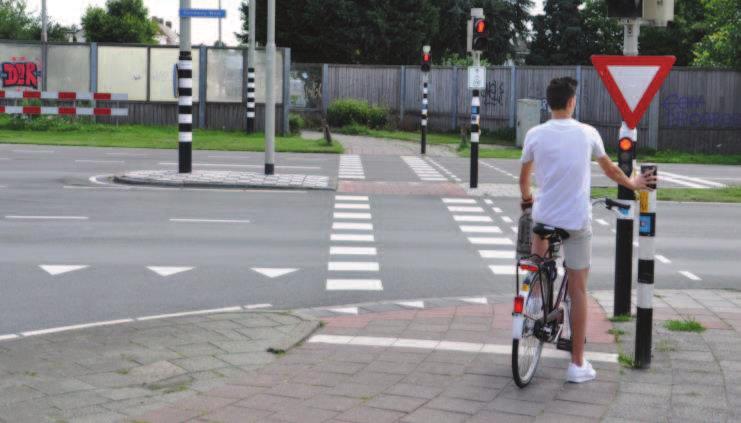 conflictpunten (Randweg, Akkerhoef) ü Laanstructuur met bomen