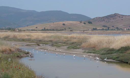 s Ochtends vroeg naar de zoutpannen en de Tsikniasrivier geweest.