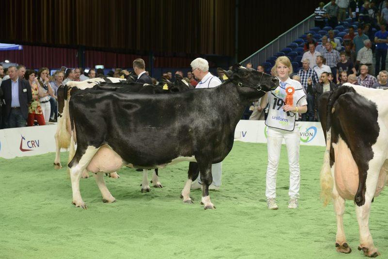 Ook hardheid in de bovenbouw, een hoog en breed aangehecht