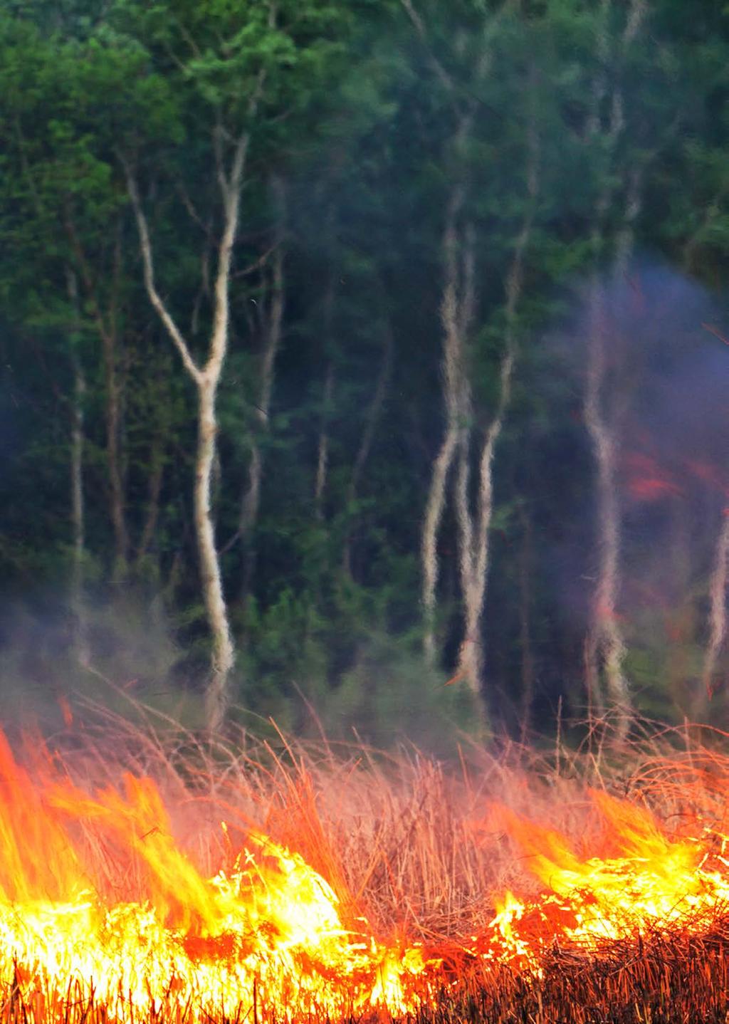 c Natuurbrandpreventie Natuurbrandbestrijding Rapportage Taskforce Natuurbranden Samenwerking bewustwording
