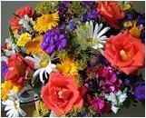 Opgavestrook bloemschikken afgeven bij de Dagbegeleiding in Aanmeldingsformulier bloemschikken Dag: Aanvang: