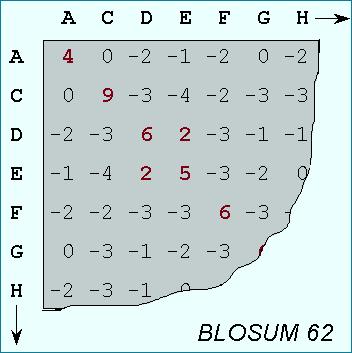 Opties in Blast Bij het zoeken van sequenties van proteienes is de keuze van kostenmatrix belangrijk De gebruiker kan kiezen tussen verschillende matrices