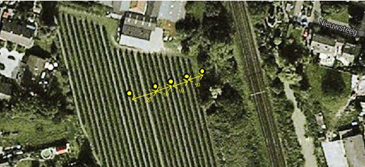 5.4. Dwarsraaimeting Op woensdag 26 maart 2014 is een dwarsraaimeting uitgevoerd in de boomgaard aan de achterzijde van Nieuwsteeg 57.