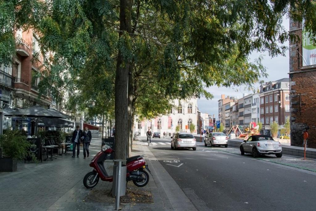 Foto Siegfried Desmet De Gleditsia triacanthos'skyline' op de grote Markt: een stijlvolle verschijning.