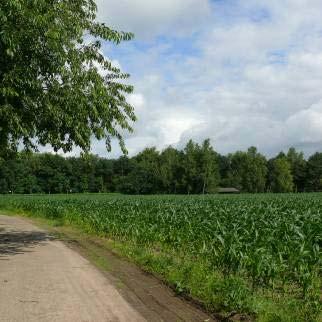 Hieruit bleek dat het verzoek voldoet aan genoemde voorwaarden, mits in totaal ten minste voldoende oppervlakte aan bedrijfsgebouwen wordt gesloopt, voldoende fosfaatrechten worden doorgehaald en