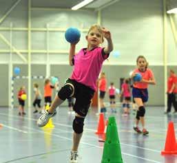 Ambitie 2.3: Handbalverenigingen beschikken over een eigen lokaal/regionaal thuishonk (indoor en/of outdoor) Veel zaalsportverenigingen hebben niet de beschikking over een eigen sporthal.