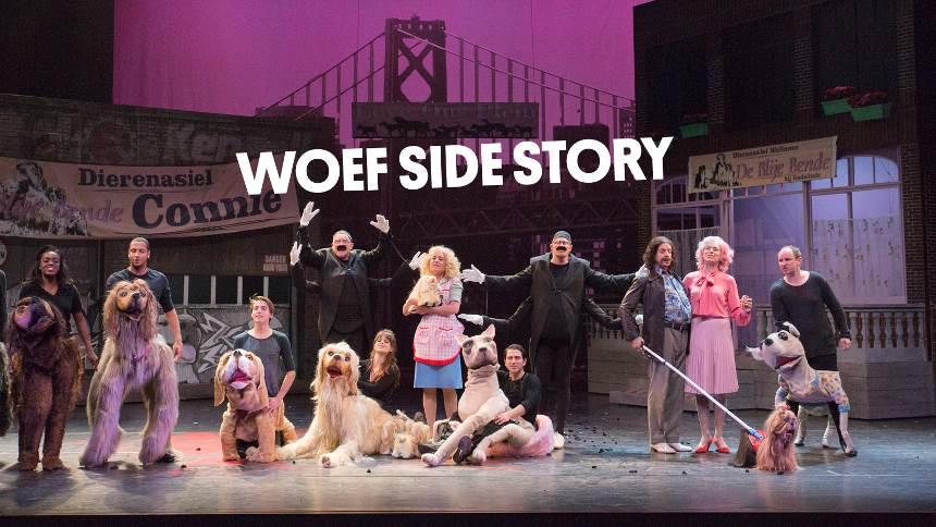 Het Ro-theater heeft de bekende musical West Side story omgezet naar een hondenliefdesverhaal Woef Side Story speelt zich af in de wonderlijke wereld van dogshows, hondenkapsalons en uitlaatstroken.