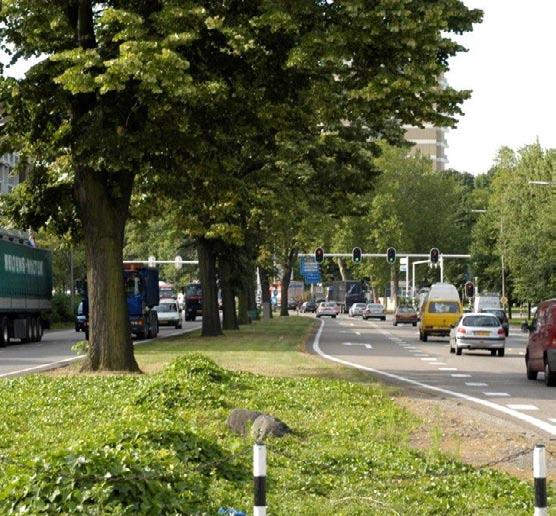 Hazeu. Ik krijg signalen van bedrijven die zich ongerust maken of zelfs nadenken over vertrek. Dat is onterecht.