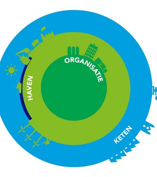 Organisatie Bedrijfsvoering