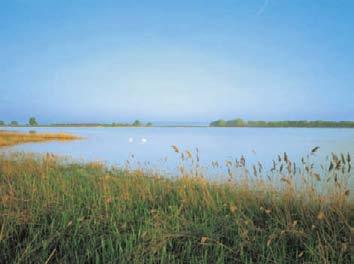 De Neusiedler See kent een mild klimaat en is betrekkelijk ondiep, slechts tot 1,8 meter. Dit enorme recreatieve meer in Burgenland geldt als het meest westelijke steppemeer van Europa.