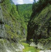 De zes nationale parken van Oostenrijk bieden unieke natuur en bijzonder fraaie wandelroutes.