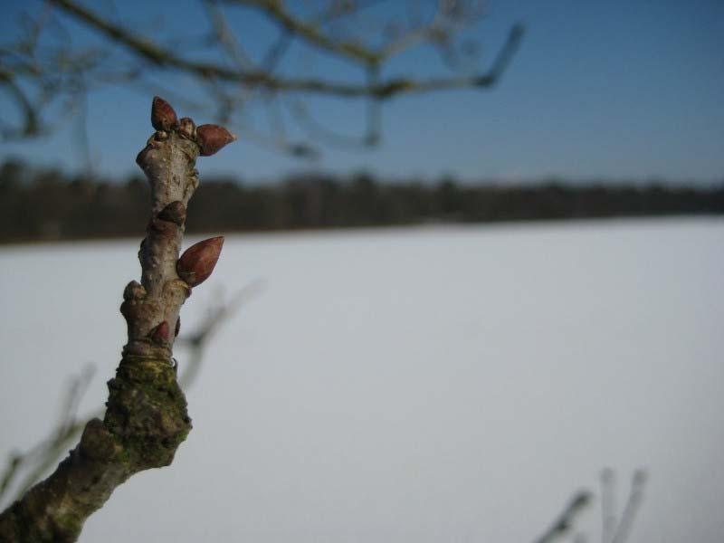 En tussendoor ook maar vast leggen dat de lente nog heeeeeel ver weg is.