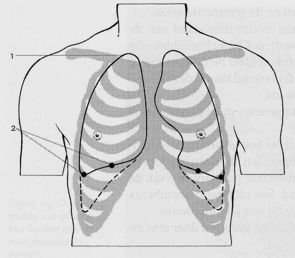 Projectie van longen op thorax: 1.