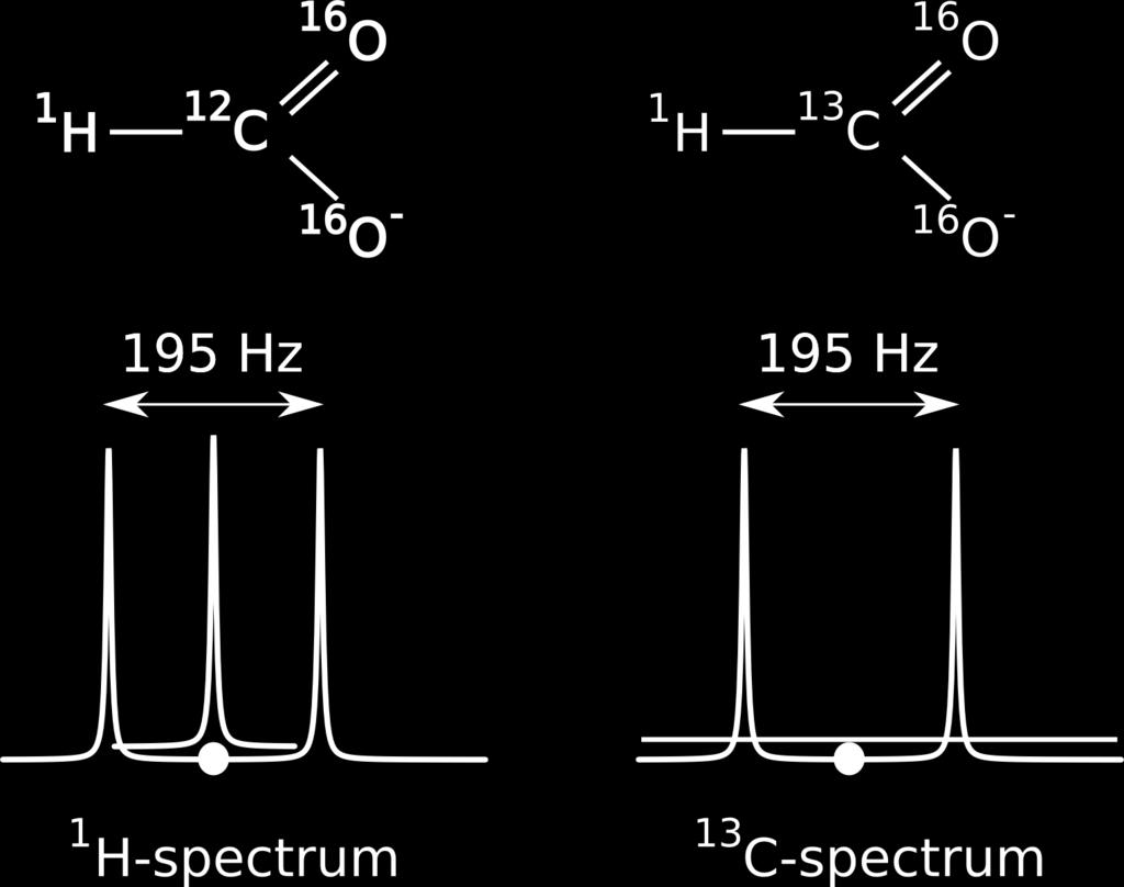 De 1 H- en 13 C-Spectra van Formaat In een formaat-ion met een 12 C-atoom is er maar één "actieve" spin ( 1 H) en, zoals