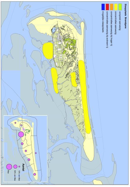 De brandgans is voor het Natura 2000-gebied de Waddenzee aangewezen als nietbroedvogel. Het gebied heeft voor de soort een functie als foerageergebied en slaapplaats.