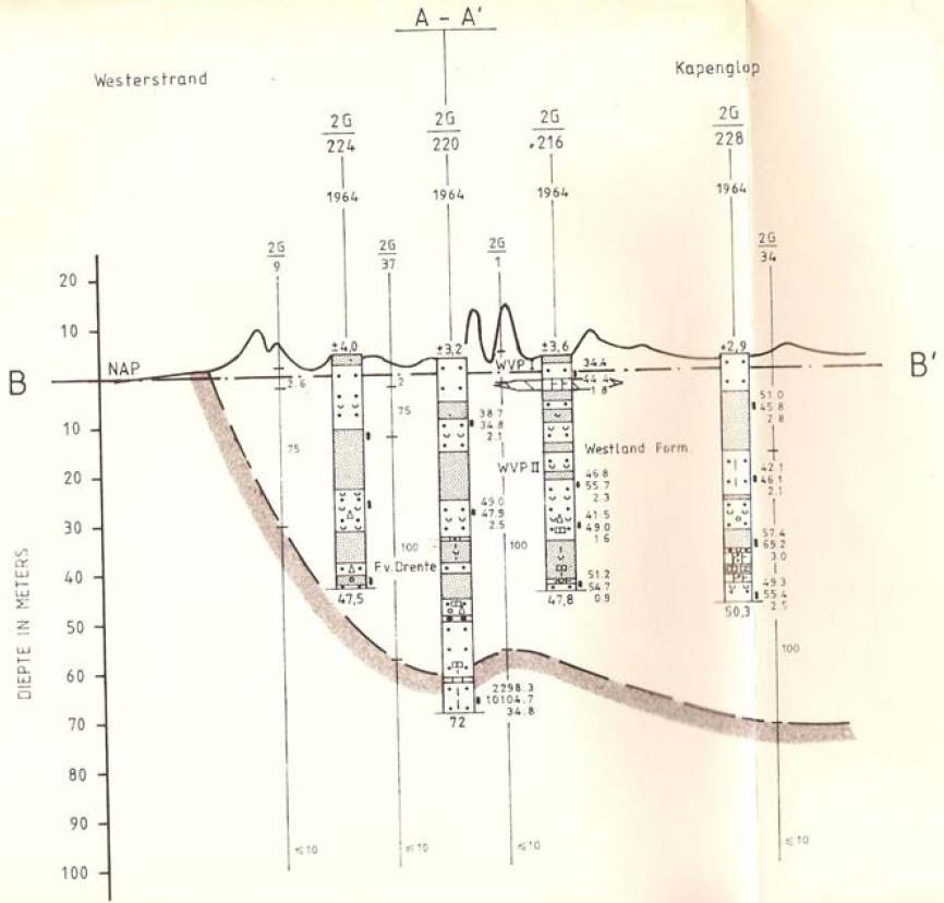 Figuur 3.7. Hydrogeologisch lengteprofiel (West - Oost) over Schiermonnikoog.