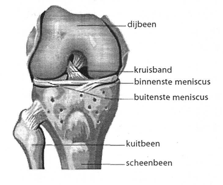 Inleiding U wordt binnenkort in het Albert Schweitzer ziekenhuis opgenomen voor een kijkoperatie aan uw knie.