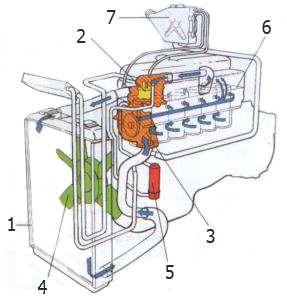 6.10 Het koelsysteem 1. Radiateur 2. Thermostaat 3. Koelvloeistofpomp 4. (zelfdenkende) ventilator 5. Oliekoeler 6. Koelmantel 7.