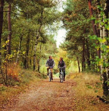 U krijgt de beschikking over een huurfiets met versnellingen. Laat uw eigen fiets dus thuis en profiteer van de aantrekkelijke prijs van het Fietsarrangement!