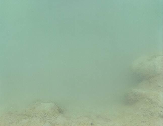 Markermeer Achteruitgang natuurwaarden Troebel water, veel slib Weinig bodemleven