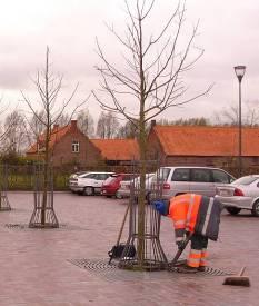 diep geplant Geen drainage (kleibodem >> badkuipeffect) Moet zijn : Bovenkant kluit = maaiveld Drainage : onder de kluit (+