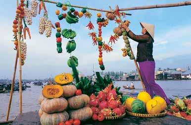 Hierna gaan we een prachtige boottocht maken door de Mekong Delta. Onderweg bezoeken we een dorpje waar diverse ambachten worden gepresenteerd.