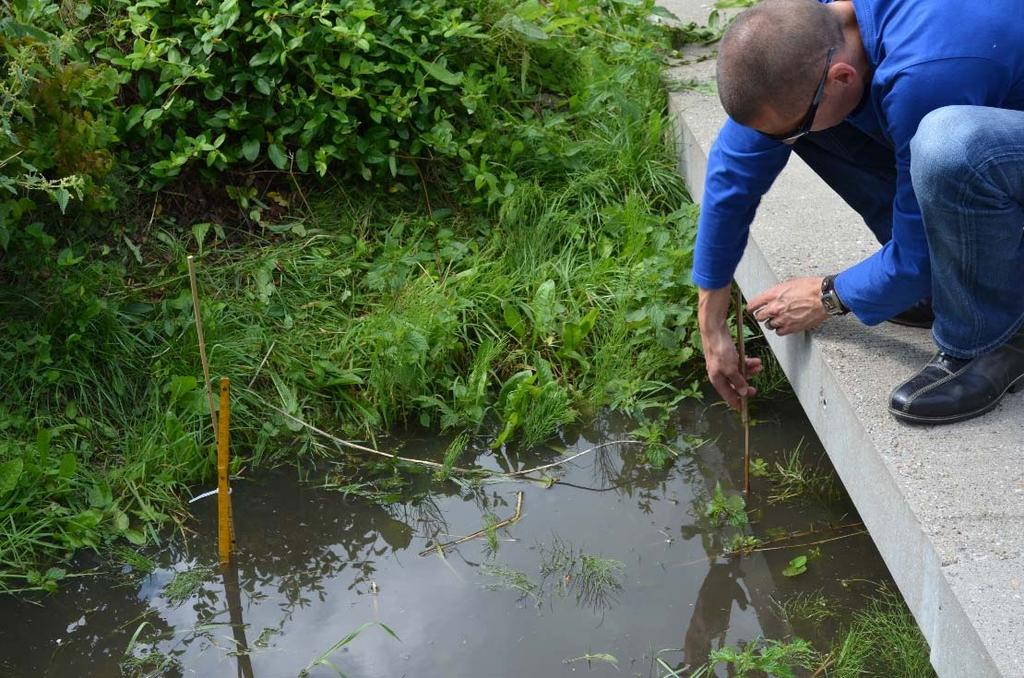 Research on SUDS: