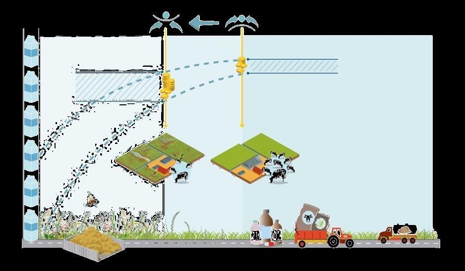 Productiviteit bedrijf Herontwerp van het