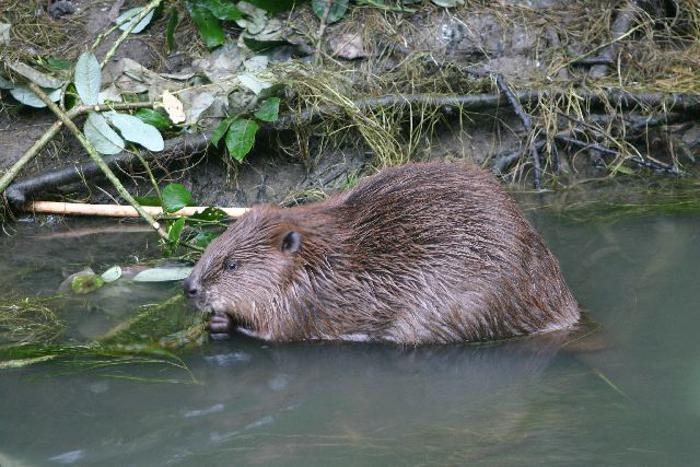 Mijn wilderniservaring: Wit Rusland